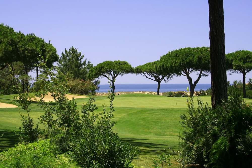 Top Golfing Destination